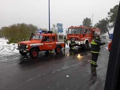 Immagine-WhatsApp-2023-02-10-ore-10.56.223456