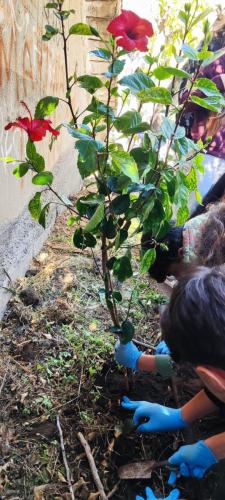 Immagine-WhatsApp-2025-11-15-ore-18.51.26 4ac77e54