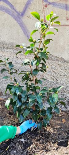 Immagine-WhatsApp-2025-11-15-ore-18.51.26 cb87ca21