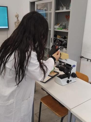 Immagine-WhatsApp-2025-11-18-ore-17.48.21 7e0f2e8e