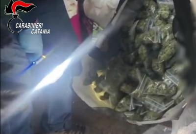 Nucleo-Investigativo-2