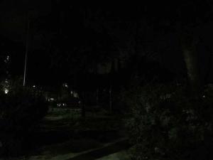 Parco Falcone 1