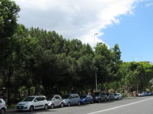 Parco Falcone 4