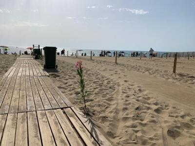 Spiagge catania (2)