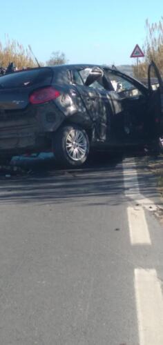 WhatsApp-Image-2022-01-30-at-15.48.54-4