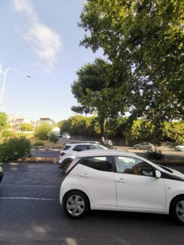 WhatsApp-Image-2022-09-06-at-09.07.55-3