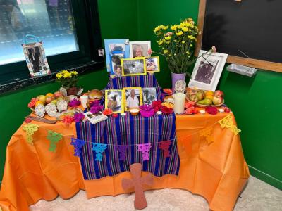 WhatsApp-Image-2024-10-31-at-19.11.26