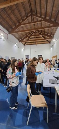 WhatsApp-Image-2024-12-06-at-17.33.42-3