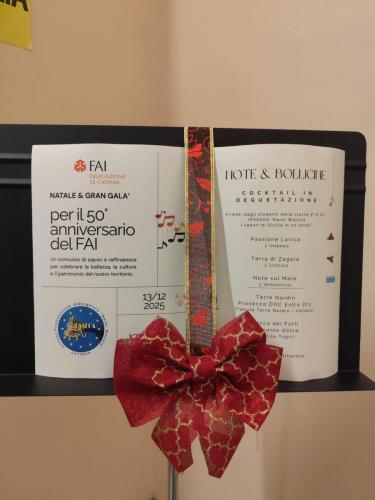 WhatsApp-Image-2025-12-15-at-09.58.06-1