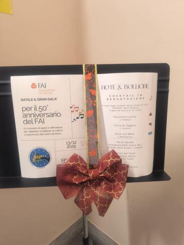 WhatsApp-Image-2025-12-15-at-09.58.13-1