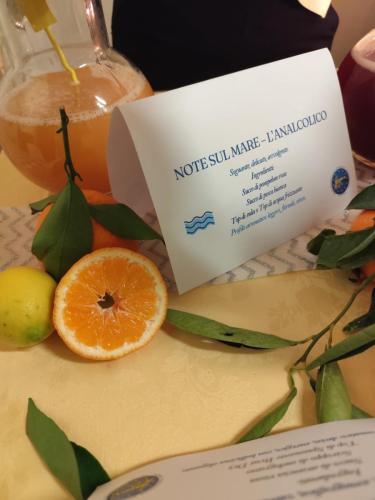 WhatsApp-Image-2025-12-15-at-09.58.14-1