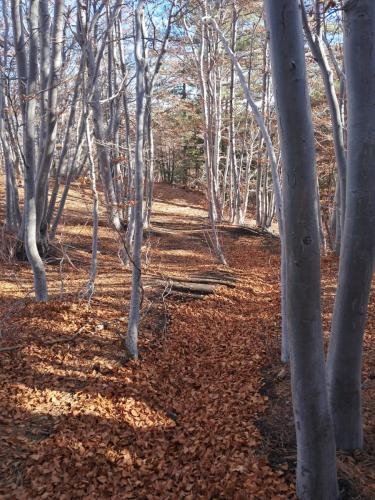 WhatsApp-Image-2025-12-15-at-10.02.38-5