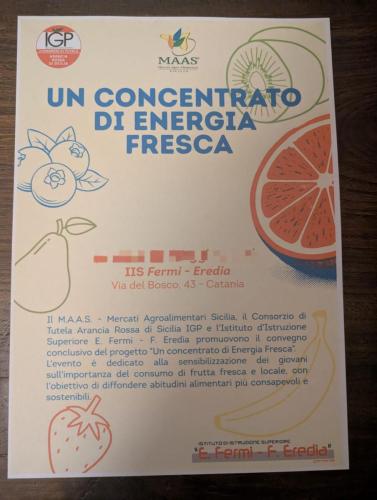 WhatsApp-Image-2025-12-30-at-10.28.44-2