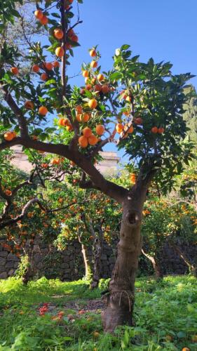 WhatsApp-Image-2026-01-14-at-19.40.53