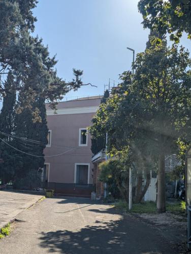 WhatsApp-Image-2026-01-14-at-19.40.54-3