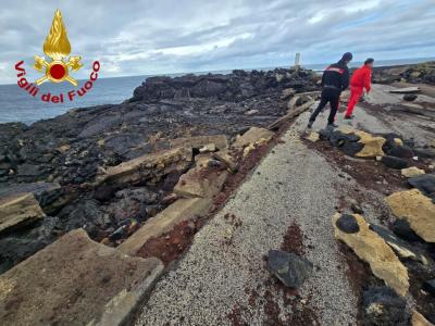 WhatsApp-Image-2026-01-25-at-15.28.37