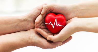 WhatsApp-Image-2026-02-13-at-11.17.35