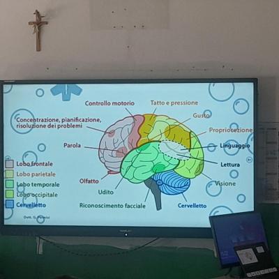 WhatsApp-Image-2026-04-29-at-09.49.45