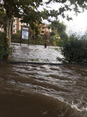 WhatsApp Image 2018-10-04 at 15.41.06 (1)