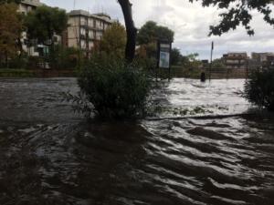 WhatsApp Image 2018-10-04 at 15.41.08