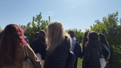 b6e4683f-17e8-4d50-96fe-e90fb8a5fceb