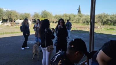 b784eceb-6737-43c9-93ef-e7a5098febb2