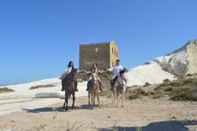 cavalli-a-punta-bianca