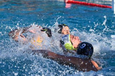 cdce1920-a0af-463b-8922-01f8b9545eb0