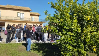 dd523bbb-d0d5-4564-b343-42c3fbf1b388