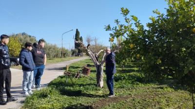 ddaa222b-3213-4898-bd92-2cad4fc7359a