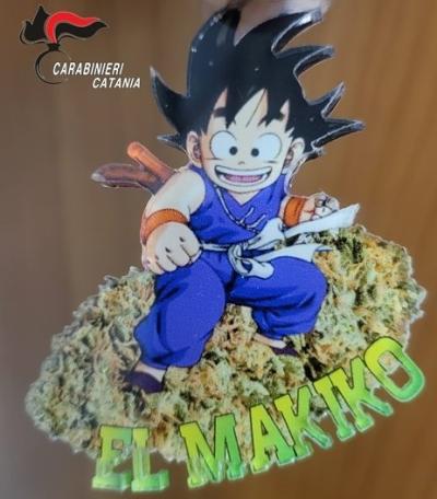 nucleo-Investigativo-4