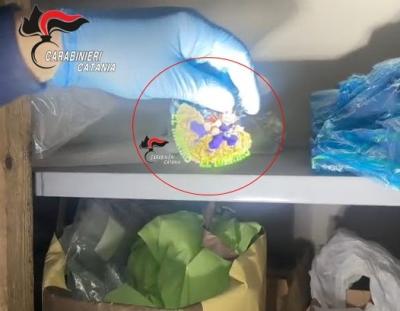 nucleo-Investigativo-5