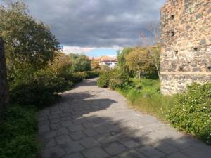 parco degli ulivi san nullo (1)