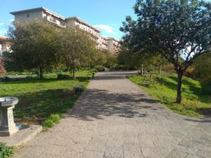 parco degli ulivi san nullo (2)