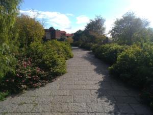 parco degli ulivi san nullo (3)